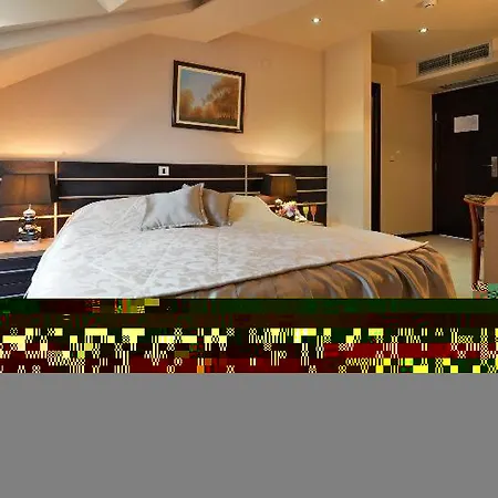 玛丽蒂姆柯尼希斯温特酒店 酒店