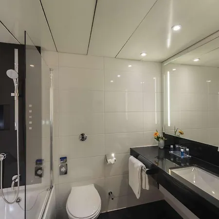 玛丽蒂姆柯尼希斯温特酒店 酒店