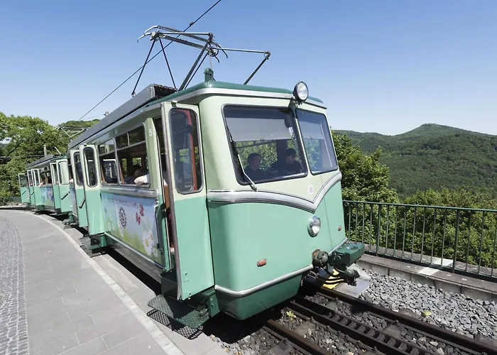 Maritim Hotel Königswinter